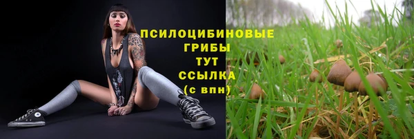 mdma Медногорск