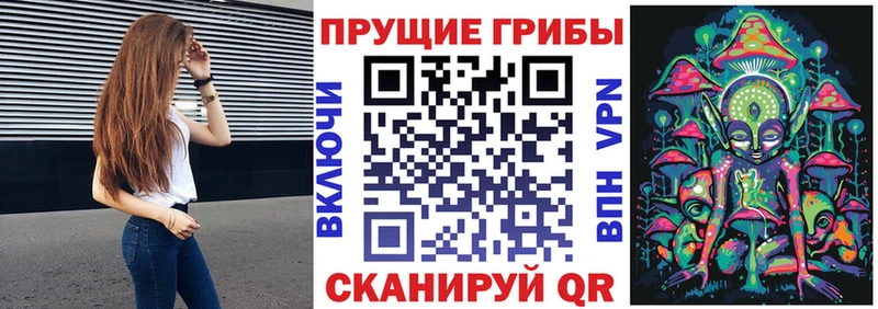 Галлюциногенные грибы Psilocybe kraken онион Мыски
