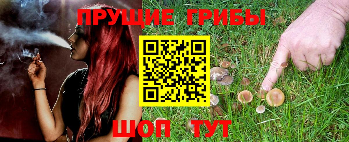 Псилоцибиновые грибы Magic Shrooms  цена   Мыски 