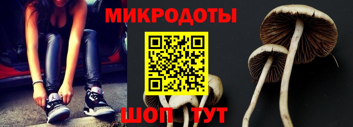 Псилоцибиновые грибы мицелий Мыски